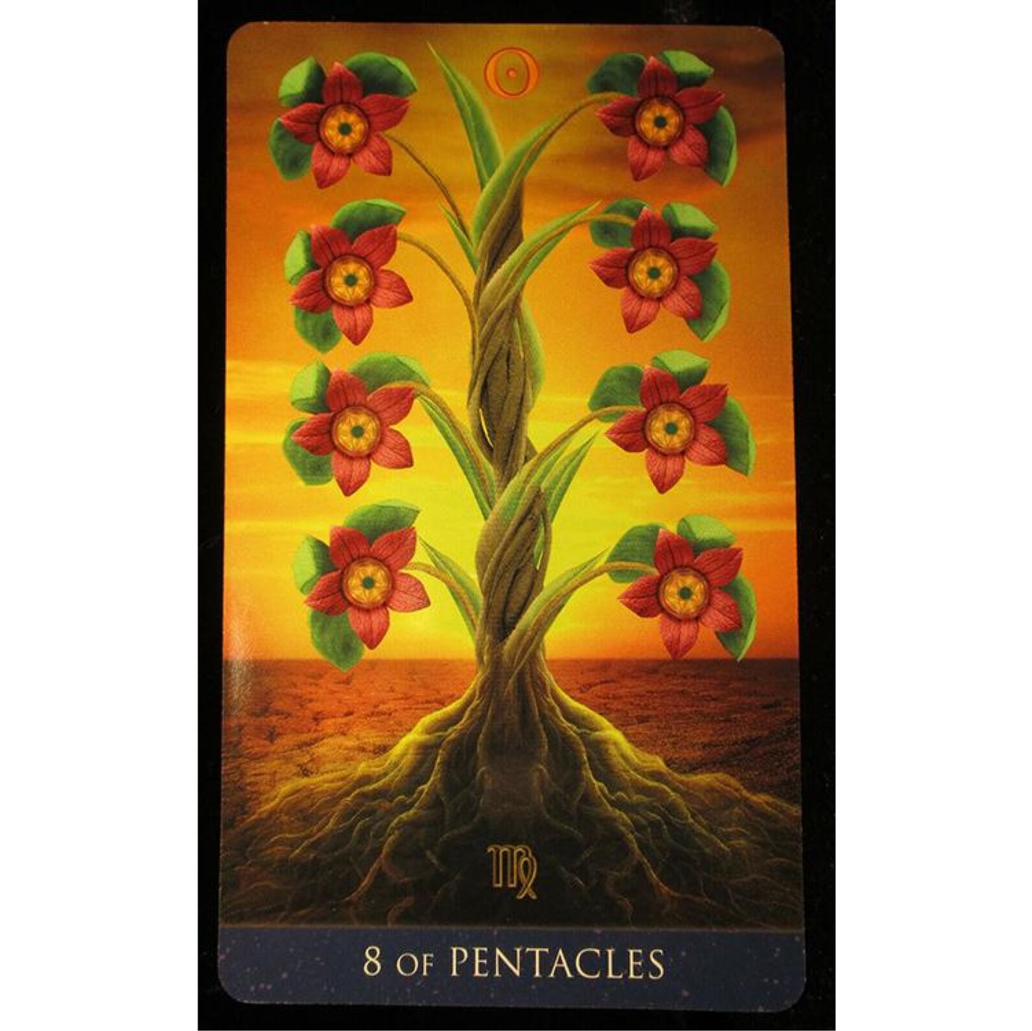 карты таро ростов на дону. наталья ростов таро. карты таро ростов на дону. подарочный набор. магазин карты таро ростов.