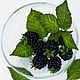 Мастер-класс "Ежевика" своими руками. Мастер-классы. Цезарь Юлия Викторовна. Ярмарка Мастеров.  Фото №4
