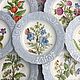 Painted porcelain. Set of plates ' Morning of the first day', Plates, Kaluga,  Фото №1