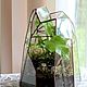 The Floriana with fern and moss. Florariums. Glass Flowers. My Livemaster. Фото №6