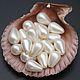Mother-of-pearl drop 6h9 mm. Resin imitation. Pendants. yakitoriya. Online shopping on My Livemaster.  Фото №2