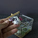 Сухой аквариум с фигуркой мраморного аксолотля, Флорариумы, Северская,  Фото №1