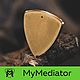 Медиаторы из латуни Shield, Медиаторы, Москва,  Фото №1