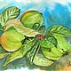 Картина натюрморт Лилиана Полозова яблоки на ветке акварель, Картины, Москва,  Фото №1
