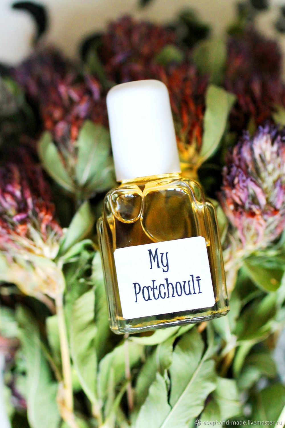 Духами пачули. Аромат пачули. Patchouli духи. Пачули фото. Пачули Эстетика.