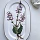 Villeroy & Boch Блюдо Botanica. Тарелки винтажные. Porzellan style. Ярмарка Мастеров.  Фото №5