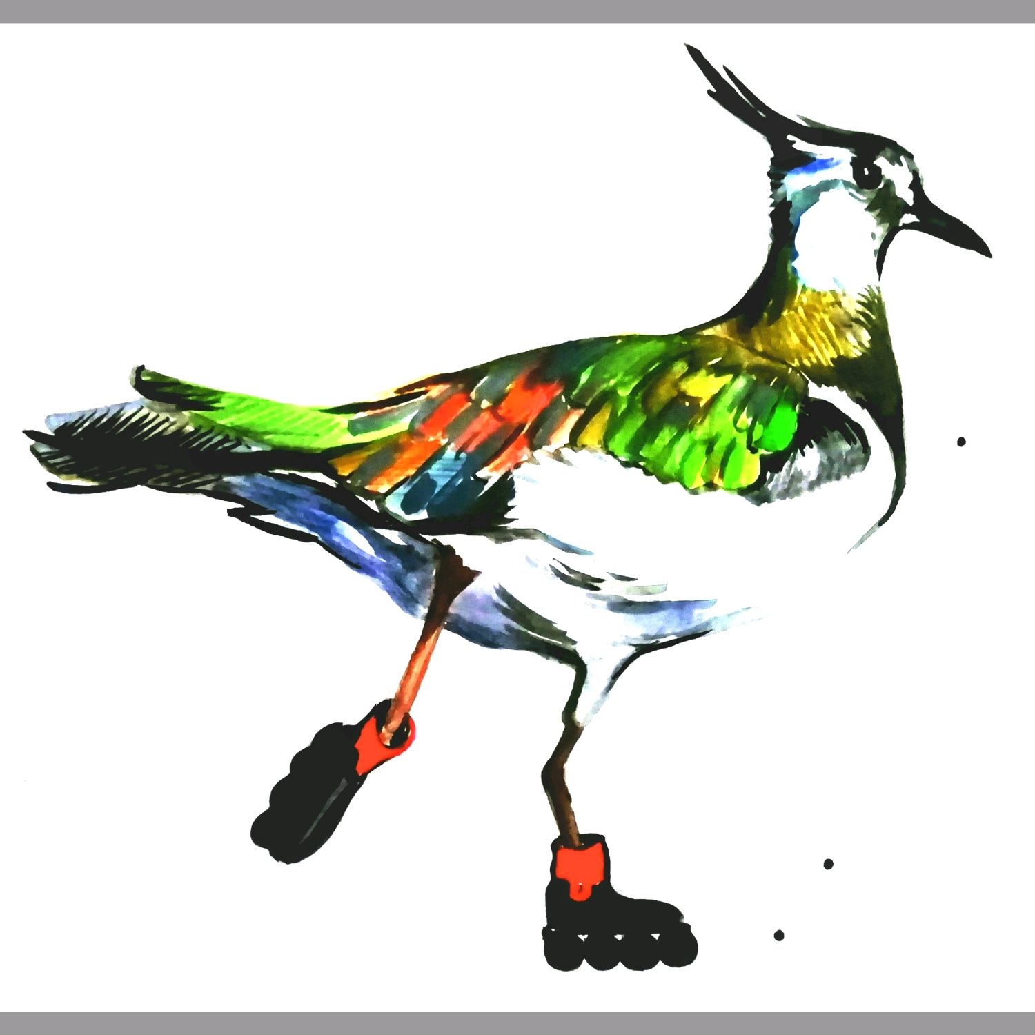 Картина с птицей "Чибис - тинейджер" купить в интернет-магазине Ярмарка ...