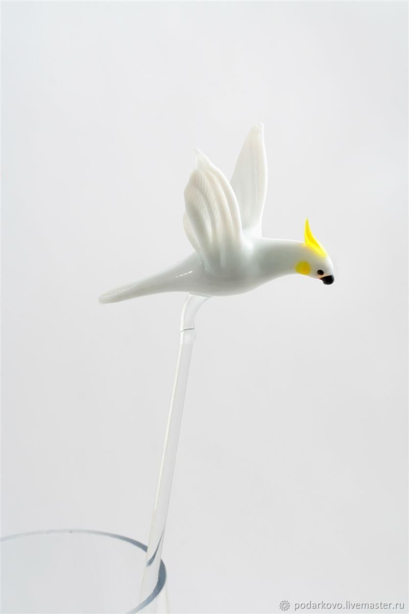 Колибри png на прозрачном фоне. Магазин колибри гусь-хрустальный. Стеклянная колибри. Бутик-молл colibri. Текстиль центр.