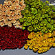 Сухоцвет Hill Flowers, 30 шт, Сухоцветы для творчества, Москва,  Фото №1