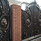 Ворота и дверь, оригинальные дизайнерские, художественная ковка, Элементы экстерьера, Одесса,  Фото №1