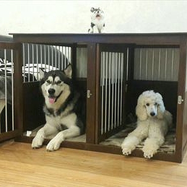 Клетки для собак