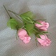 Весенний цветок к 8 марта, подарок учителю, коллегам, Букеты, Москва,  Фото №1