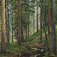 Картины маслом Пейзаж, Картины, Брянск,  Фото №1