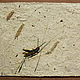 Paper pattern 'Grasshopper'. Pictures. Handmade paper by Alla Vittenberg. Online shopping on My Livemaster.  Фото №2