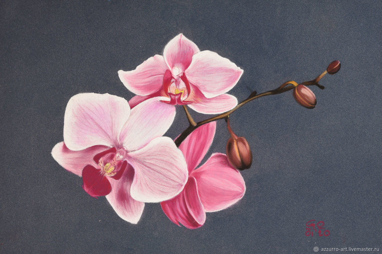 Орхидеи пастелью