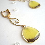 Украшения handmade. Livemaster - original item Earrings Long Real Butterfly Wings Yellow Black Gold Gilding. Handmade.
