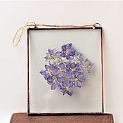 Цветы и флористика handmade. Livemaster - original item the herbarium in the glass. Herbarium of flowers in a frame. Purple flowers. Handmade.