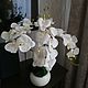 Искусственная орхидея в керамическом кашпо, Букеты, Ершов,  Фото №1