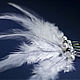 Comb with feathers 'Angel'. Hair Decoration. Eni-e. Online shopping on My Livemaster.  Фото №2