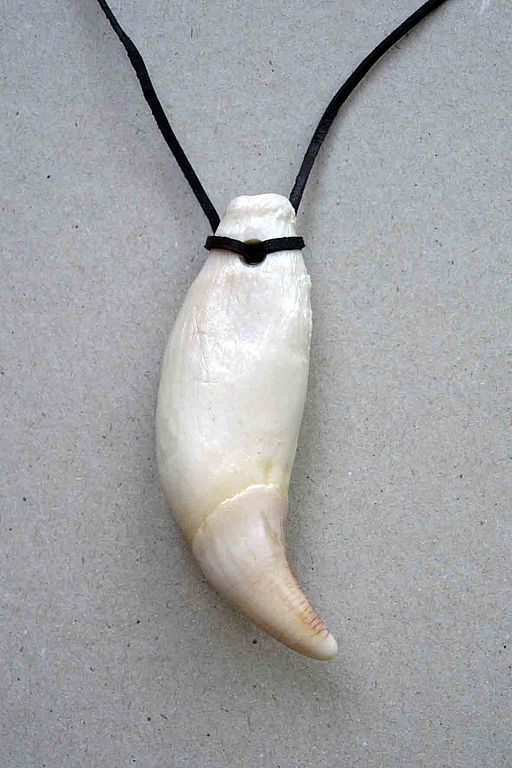 Klyk