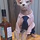 Cat clothes 'Jumpsuit - Festive  ', Pet clothes, Biisk,  Фото №1
