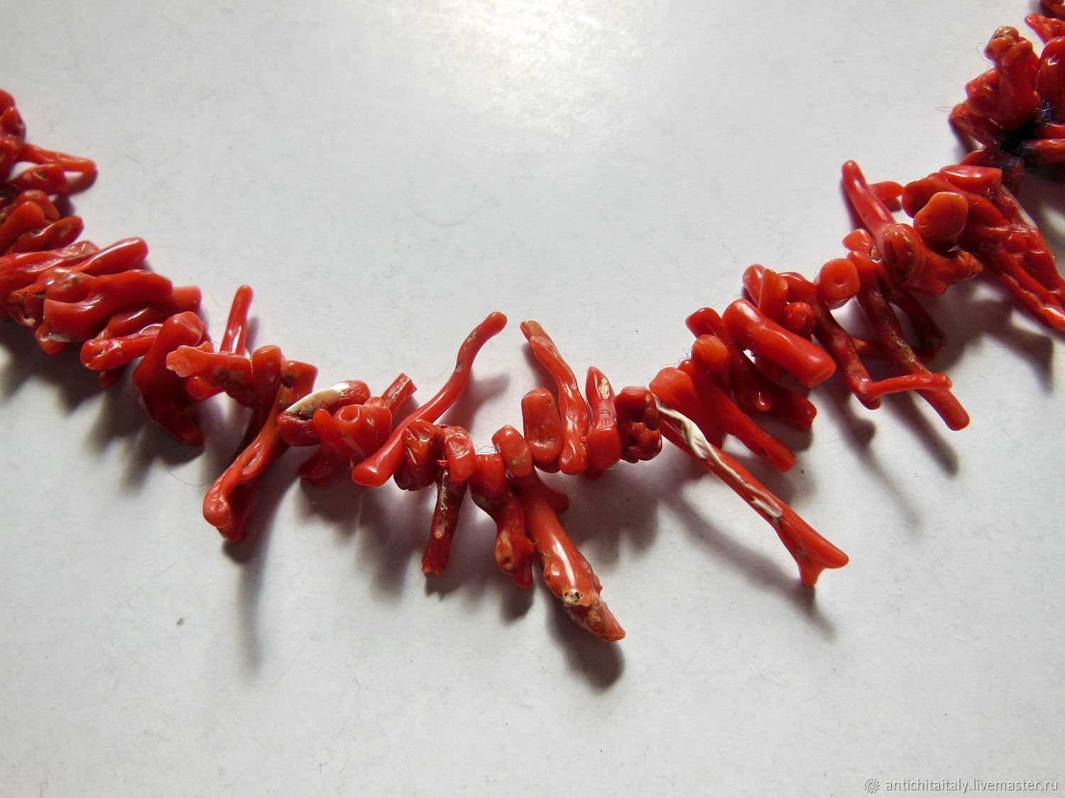 Ветка коралл структура. Италия кораллы. Corallium rubrum (кораллиум рубрум) коралл красный. Италия кораллы. Италия кораллы.