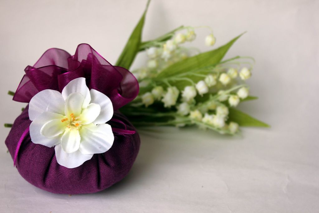 Франжипани цветок фото в домашних условиях