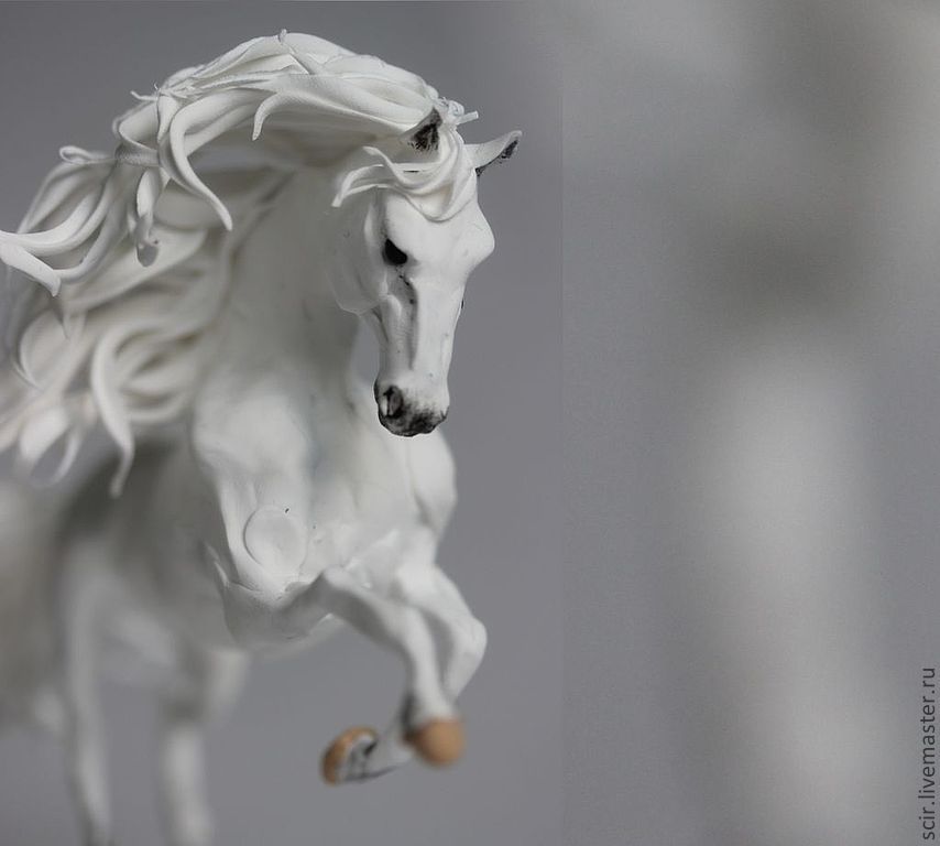 Картинки лошади белые в снегу (68 фото) » Картинки и статусы про окружающий мир вокруг