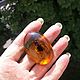 Order Magnet Bee in resin real bee resin under amber souvenir. BalticAmberJewelryRu Tatyana. Livemaster. . Magnets Фото №3