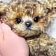 Maltipoo (18 см тедди щенок). Тедди Зверята. Ирина Ермакова. Интернет-магазин Ярмарка Мастеров.  Фото №2