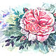Watercolor painting rose by David Austin, Pictures, Penza,  Фото №1