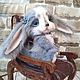 Teddy Animals: hare Gentle, Teddy Toys, Chrysostom,  Фото №1