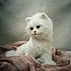 Order Teddy Animals: white kitten. Teddybeasts. Livemaster. . Teddy Toys Фото №3