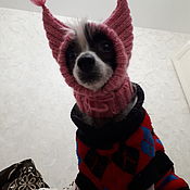 Зоотовары handmade. Livemaster - original item Winter hat for small dogs. Handmade.