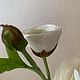 Ранункулюс с бутонами. Цветы. EXCLUSIVE BOUQUET. Интернет-магазин Ярмарка Мастеров.  Фото №2