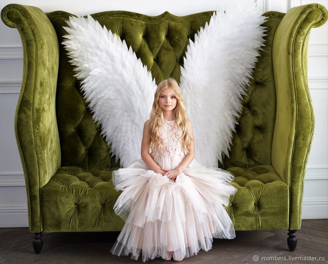 Приделать крылья ангела на фото онлайн