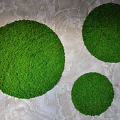 "Зелёный букет" картина из мха