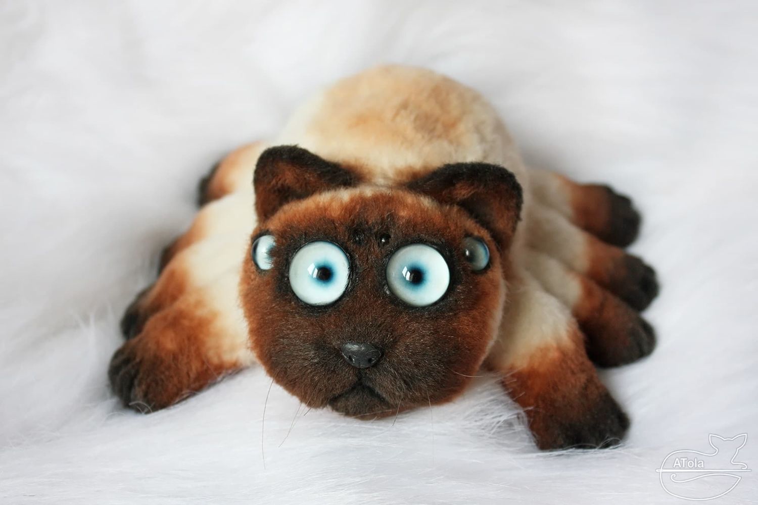 Cat spider, spider cat or spider cat? Realistic toy still life, fantasy 