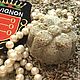 Твердый шампунь  Avignon "LAVANDE, LE MIRACLE", Мыло, Москва,  Фото №1