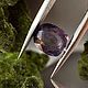 Фиолетовый сапфир 3.67ct, Мадагаскар. Камни. «ФИЛОСОФИЯ КАМНЯ». Ярмарка Мастеров.  Фото №4