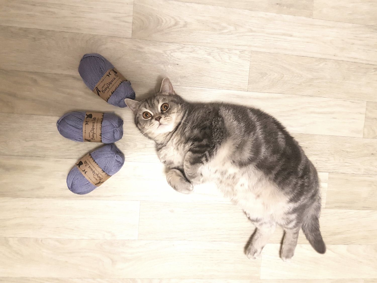 Мой профиль
