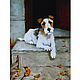 Oil painting dog ' Faithful friend', Pictures, Belorechensk,  Фото №1