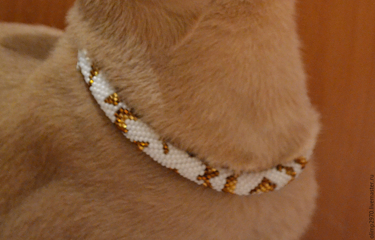 The collar is WHITE WITH GOLD beaded, Dog - Collars, Novosibirsk,  Фото №1