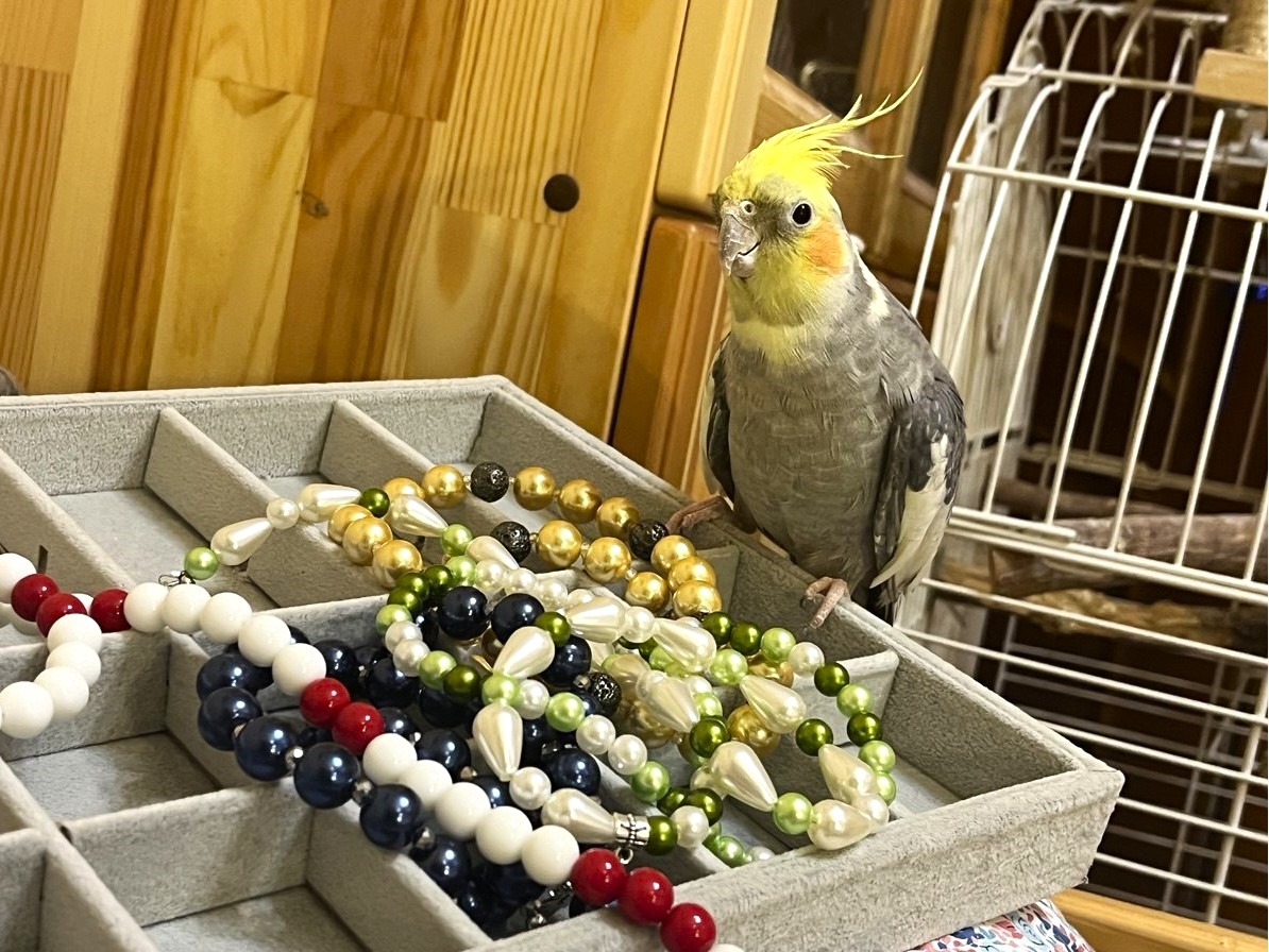 Мой профиль
