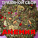 Анемия. Травяной сбор, Травы, Набережные Челны,  Фото №1