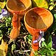 Куксы ручной работы из разного дерева. Кружки и чашки. Мастерская Русич. Живое дерево!. Ярмарка Мастеров.  Фото №5