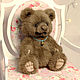 Мишка Тедди Антошка. Мишки Тедди. Princess Dolls-Toys (teddyeyes). Ярмарка Мастеров.  Фото №9