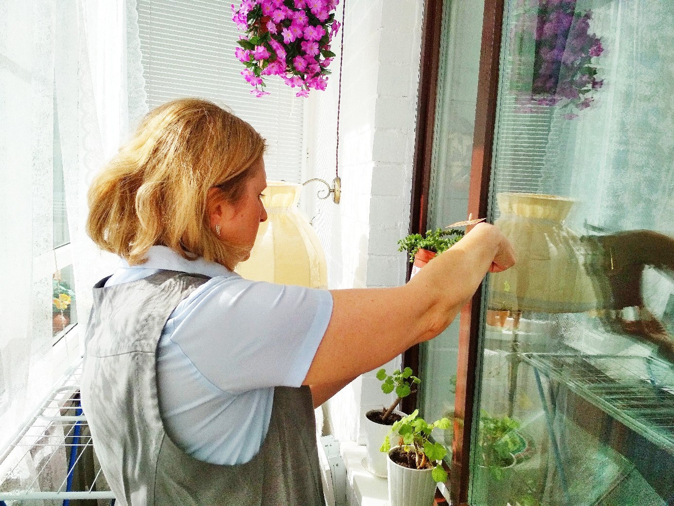 Новые поступления растений.