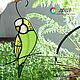 Волнистый попугай ловец солнца тиффани, Витражи, Бийск,  Фото №1