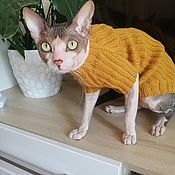 Cotton sweater for cat/cat (color is different)